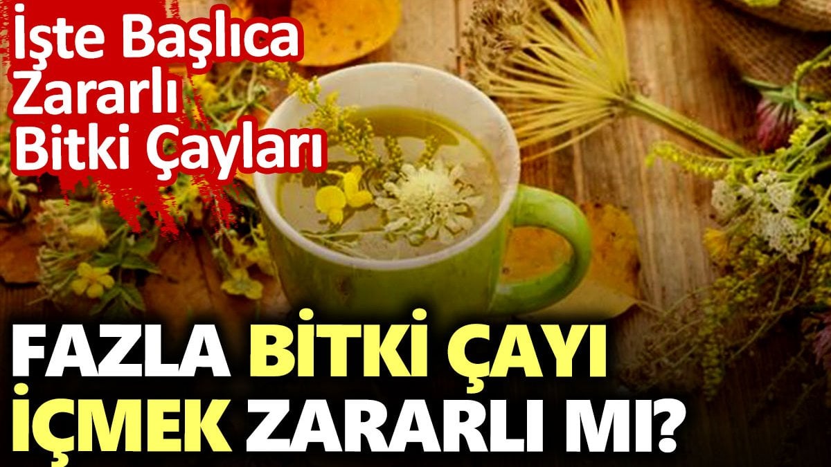 Fazla Bitki Çayı İçmek Zararlı mı? İşte Başlıca Zararlı Bitki Çayları