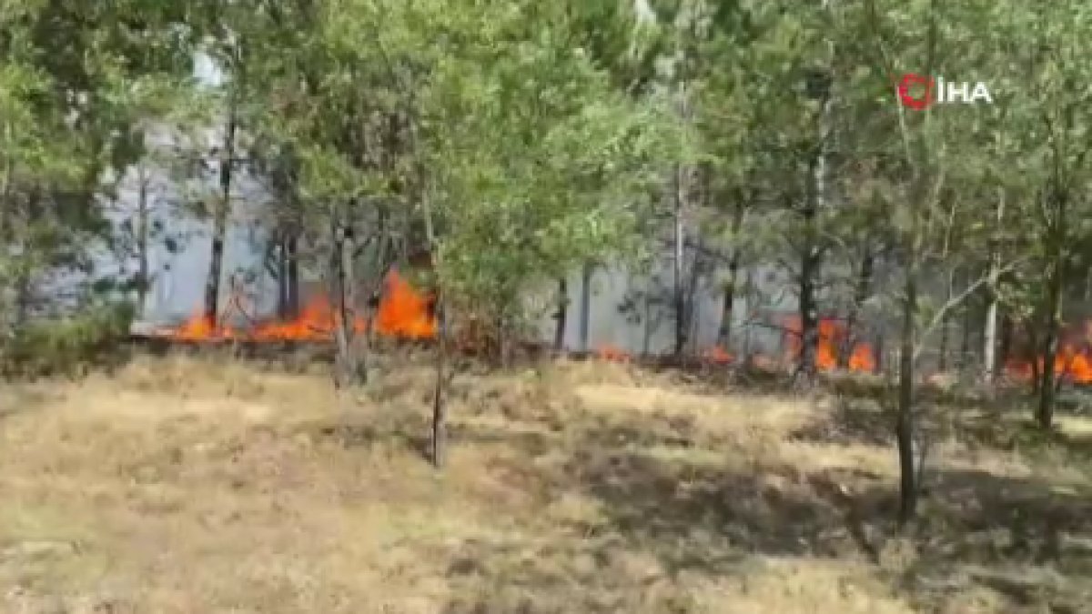 Kastamonu’da orman yangını