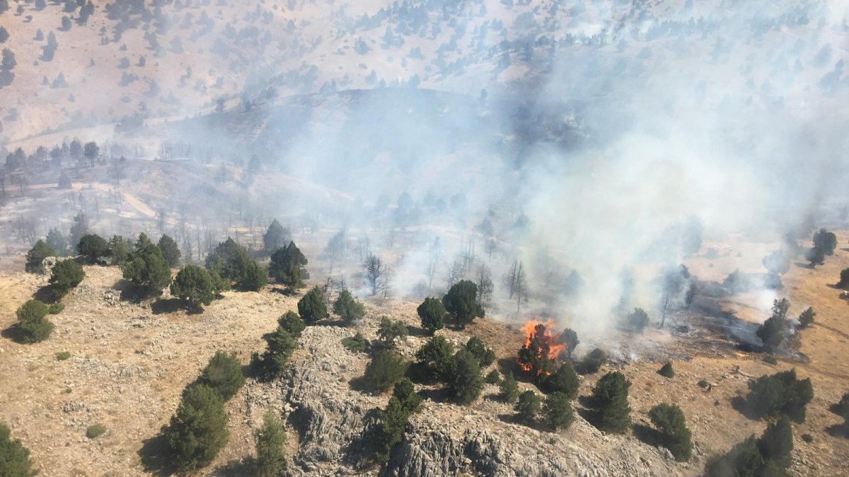 Kahramanmaraş'taki orman yangını söndürüldü