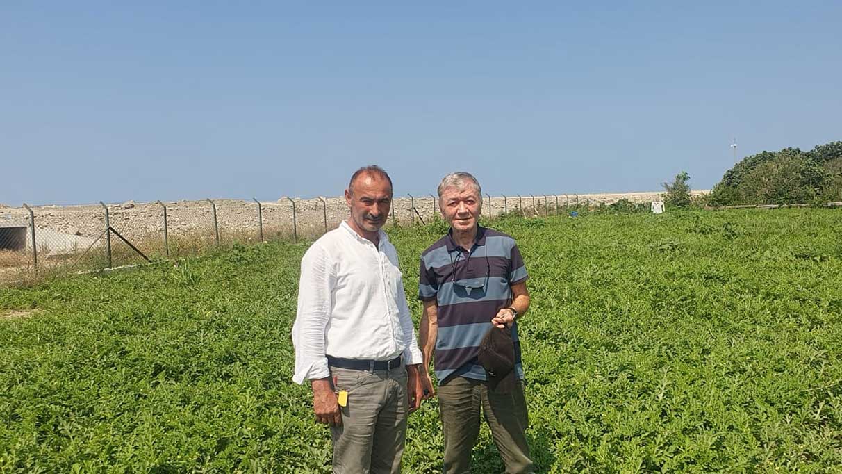 Sinop'ta hasat için geri sayım başladı