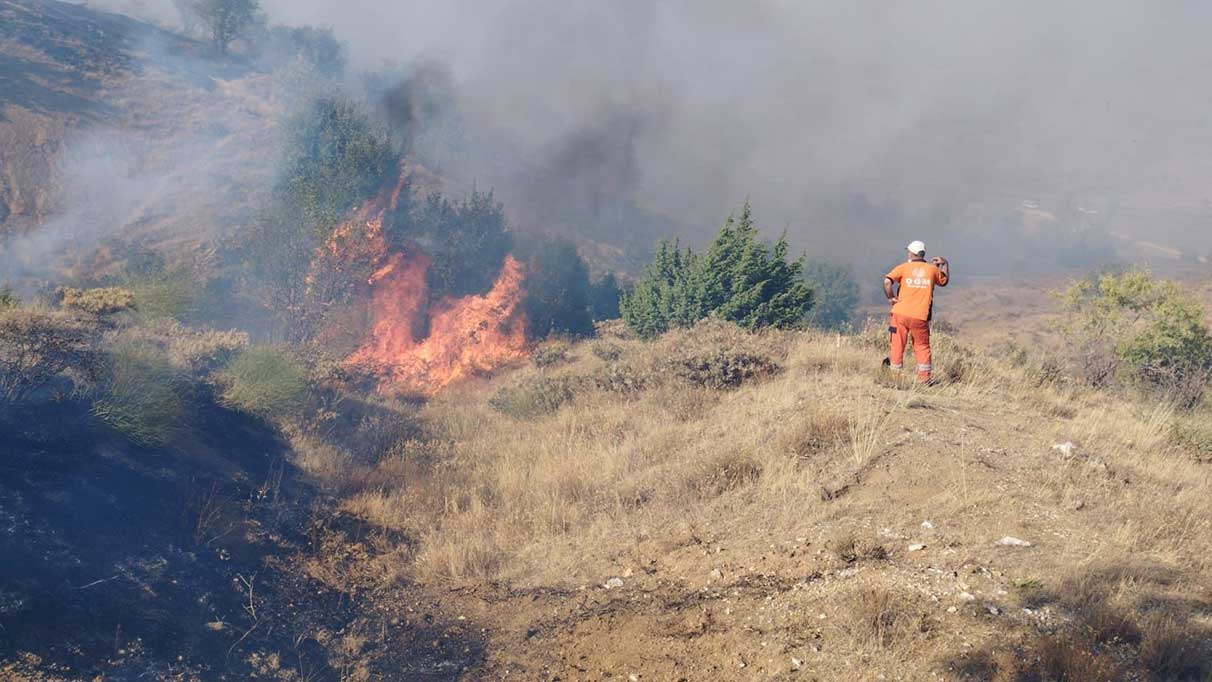 Bingöl’de çıkan orman yangını söndürüldü