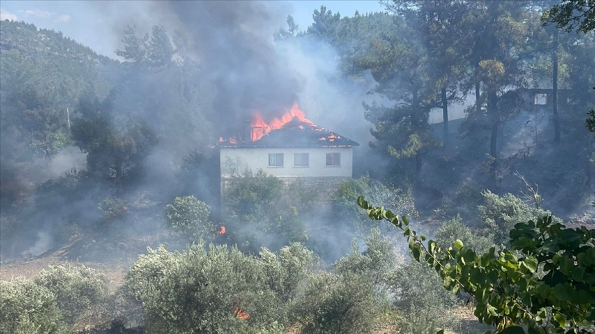 Muğla'daki orman sıçrayan yangın söndürüldü