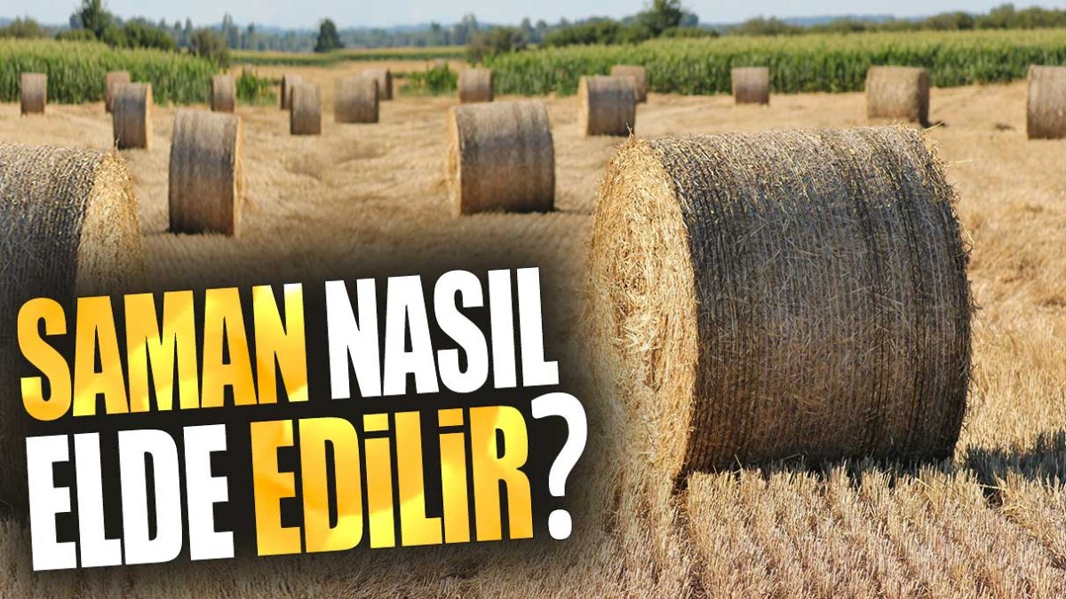 Saman nasıl elde edilir?