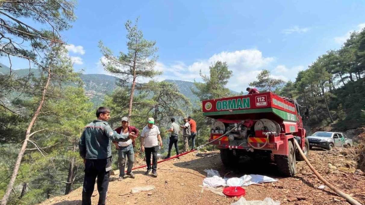 Adana'da orman yangını