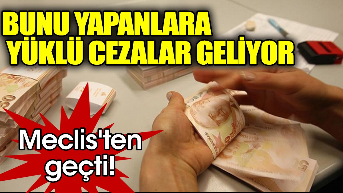 Meclis'ten geçti! Bunu yapanlara yüklü cezalar geliyor