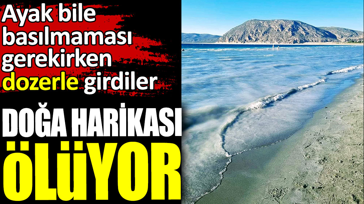 Doğa harikası ölüyor. Ayak bile basılmaması gerekirken dozerle girdiler