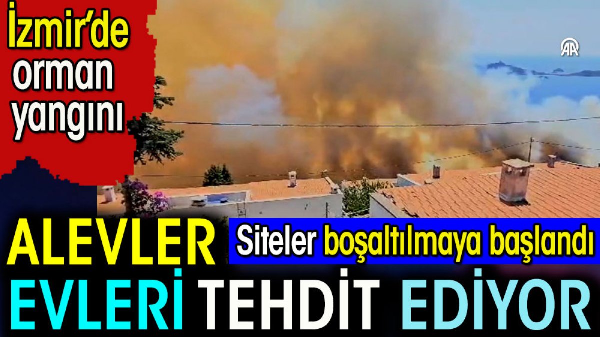 İzmir'de orman yangını. Alevler evleri tehdit etmeye başladı