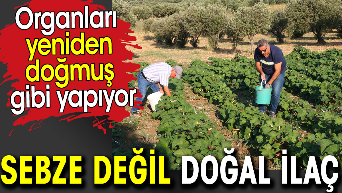 Sebze değil, doğal ilaç! Organları yeniden doğmuş gibi yapıyor