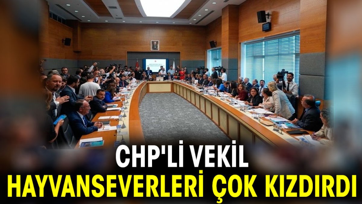 CHP'li vekil hayvanseverleri çok kızdırdı