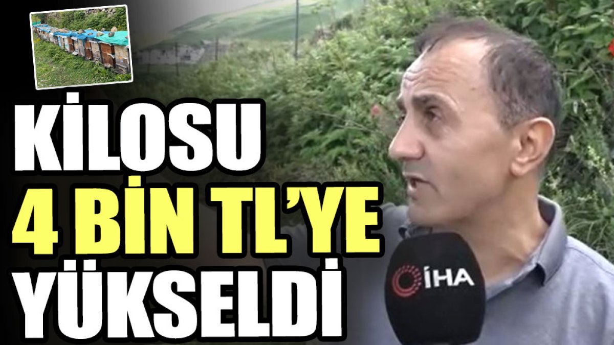 Kilosu 4 bin TL’ye yükseldi