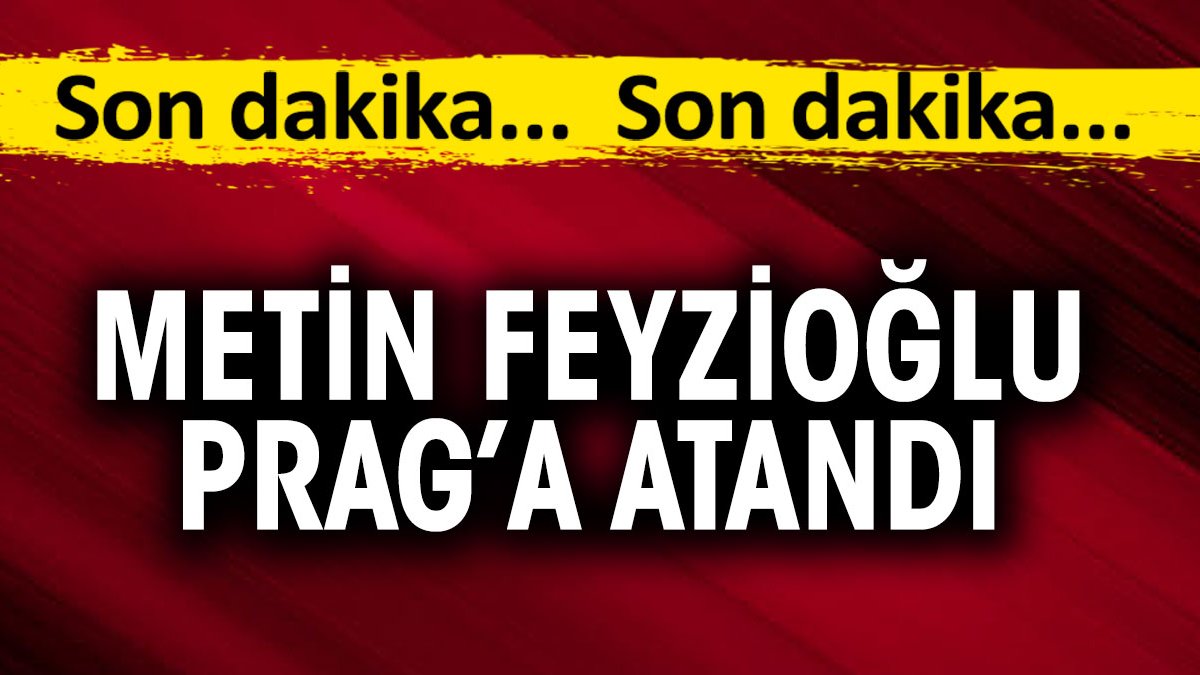 Flaş... Flaş... Metin Feyzioğlu Prag'a atandı