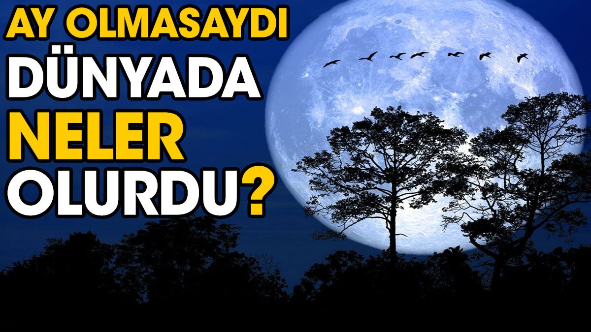 Ay olmasaydı dünyada neler olurdu?