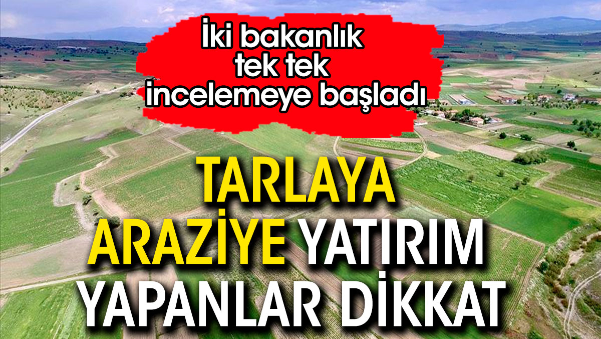 Arsaya araziye yatırım yapanlar dikkat. İki bakanlık tek tek incelemeye başladı