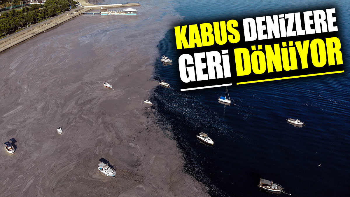 Kabus denizlere geri dönüyor