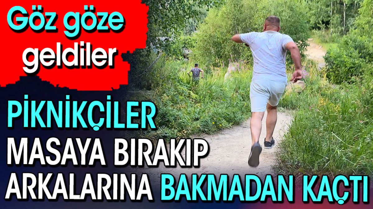 Piknikçiler masaya bırakıp arkalarına bakmadan kaçtı. Göz göze geldiler