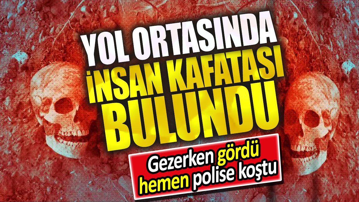 Yol ortasında insan kafatası bulundu. Gezerken gördü polis hemen polise koştu