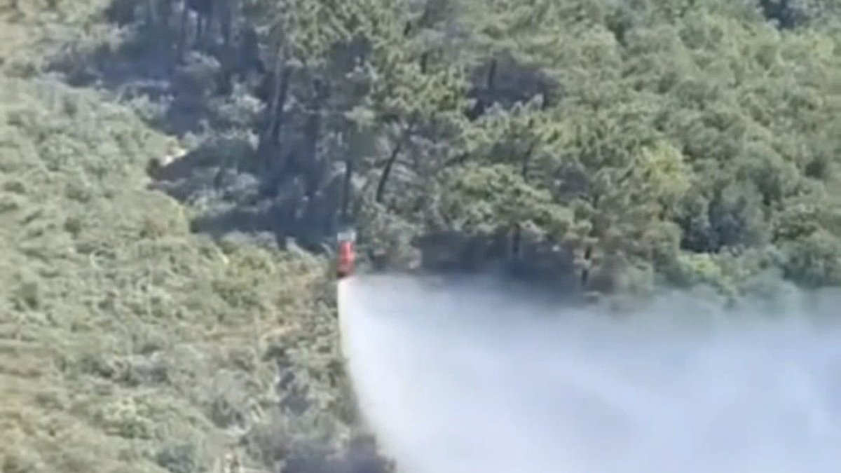 Beykoz'da çıkan orman yangını söndürüldü