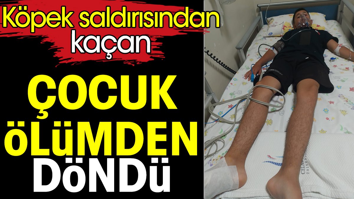 Köpek saldırısından kaçan çocuk ölümden döndü