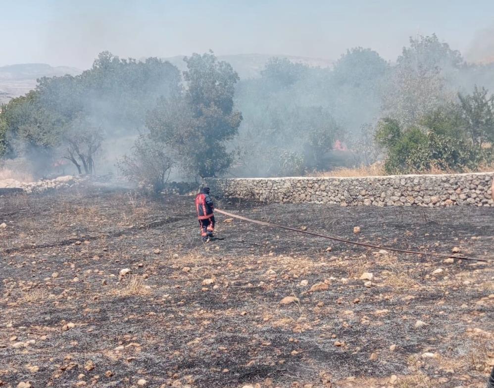 Şırnak'ta örtü yangını çıktı