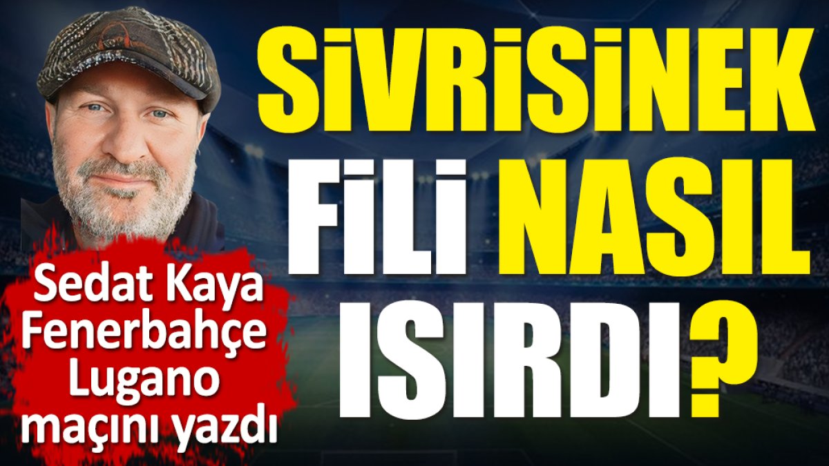 Sivrisinek fili nasıl ısırdı? Sedat Kaya Fenerbahçe Lugano maçını yazdı