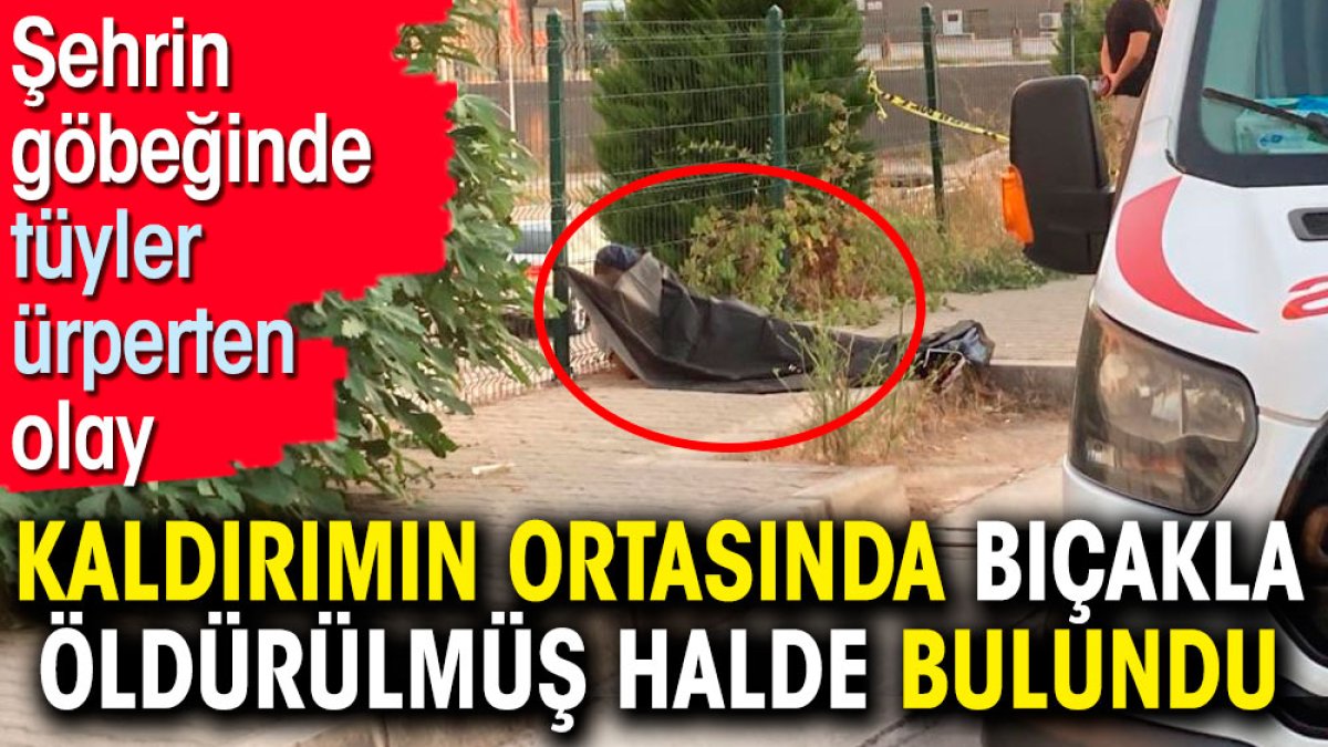 Şehrin göbeğinde tüyler ürperten olay. Kaldırımın ortasında bıçakla öldürülmüş halde bulundu