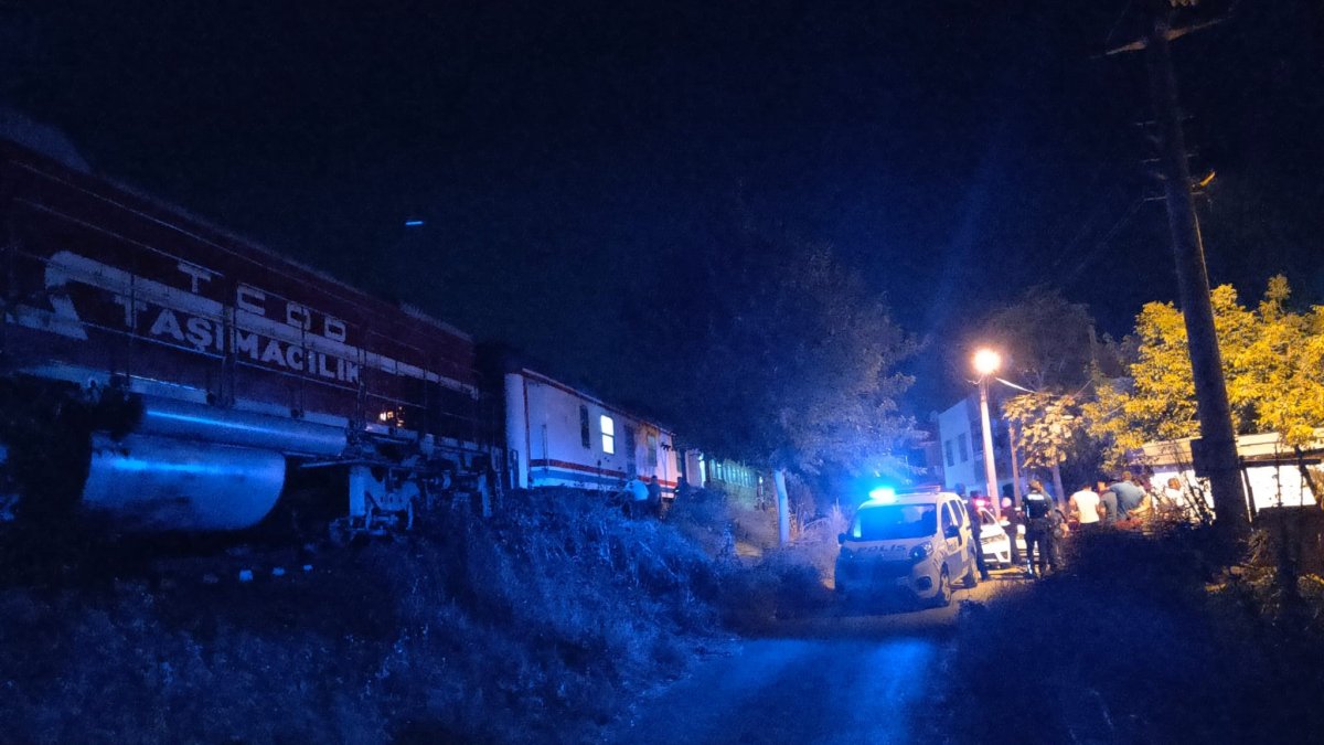 Manisa'da yolcu treni 2 kardeşe çarptı