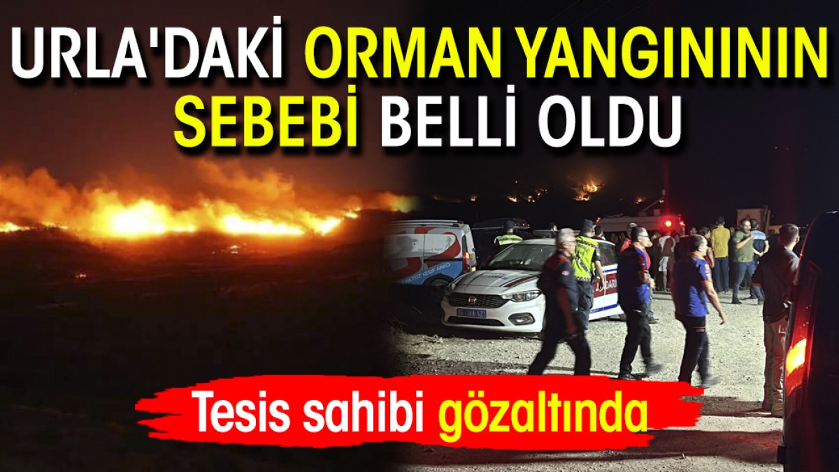 Urla'daki orman yangınının sebebi belli oldu: Tesis sahibi gözaltında