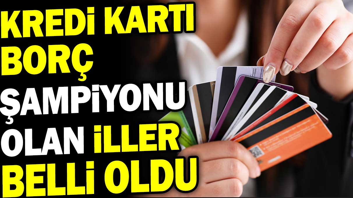 Kredi kartı borç şampiyonu olan iller belli oldu