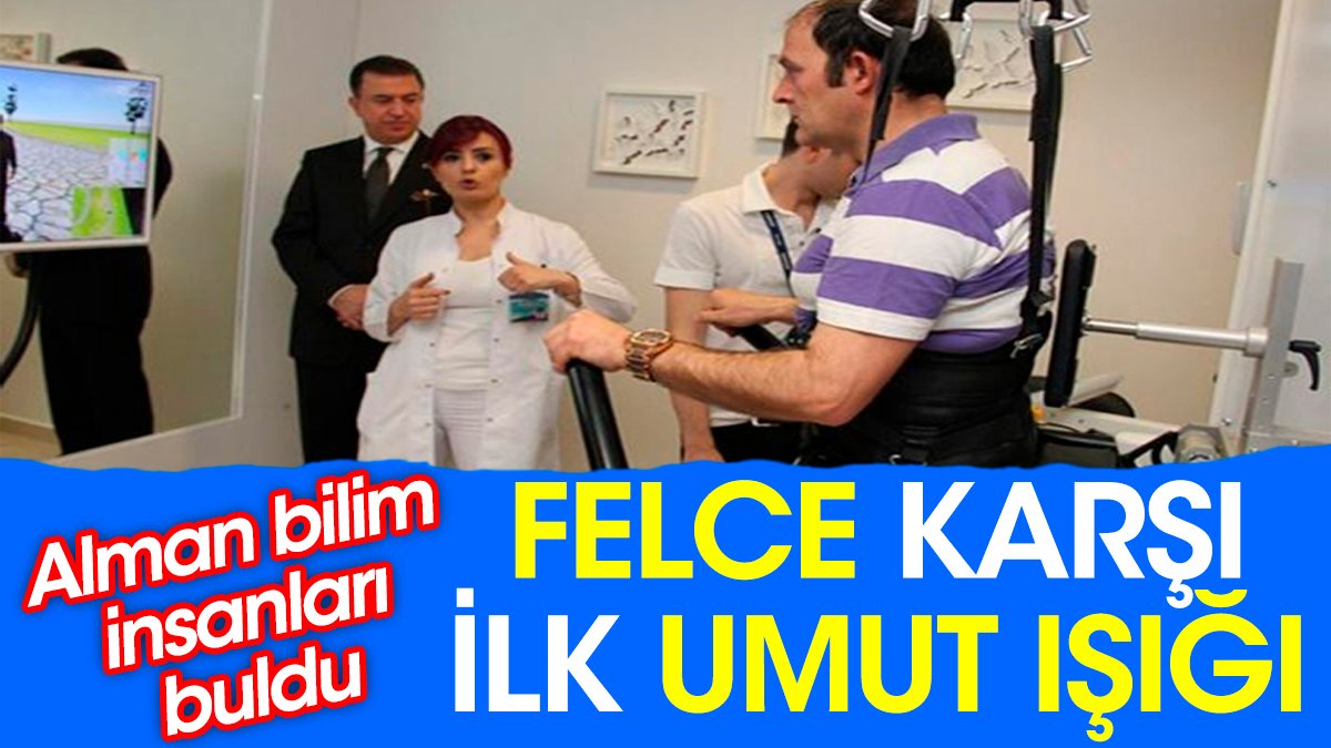 Felce karşı ilk umut ışığı. Alman bilim insanları buldu