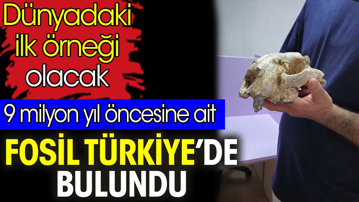 9 milyon yıl öncesine ait fosil Türkiye’de bulundu. Dünyadaki ilk örneği olacak