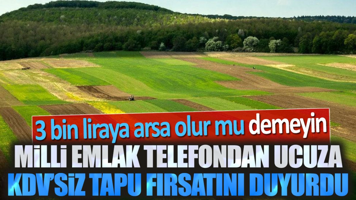 Milli Emlak telefondan ucuza tapu fırsatını duyurdu. 3 bin liraya arsa olur mu demeyin!