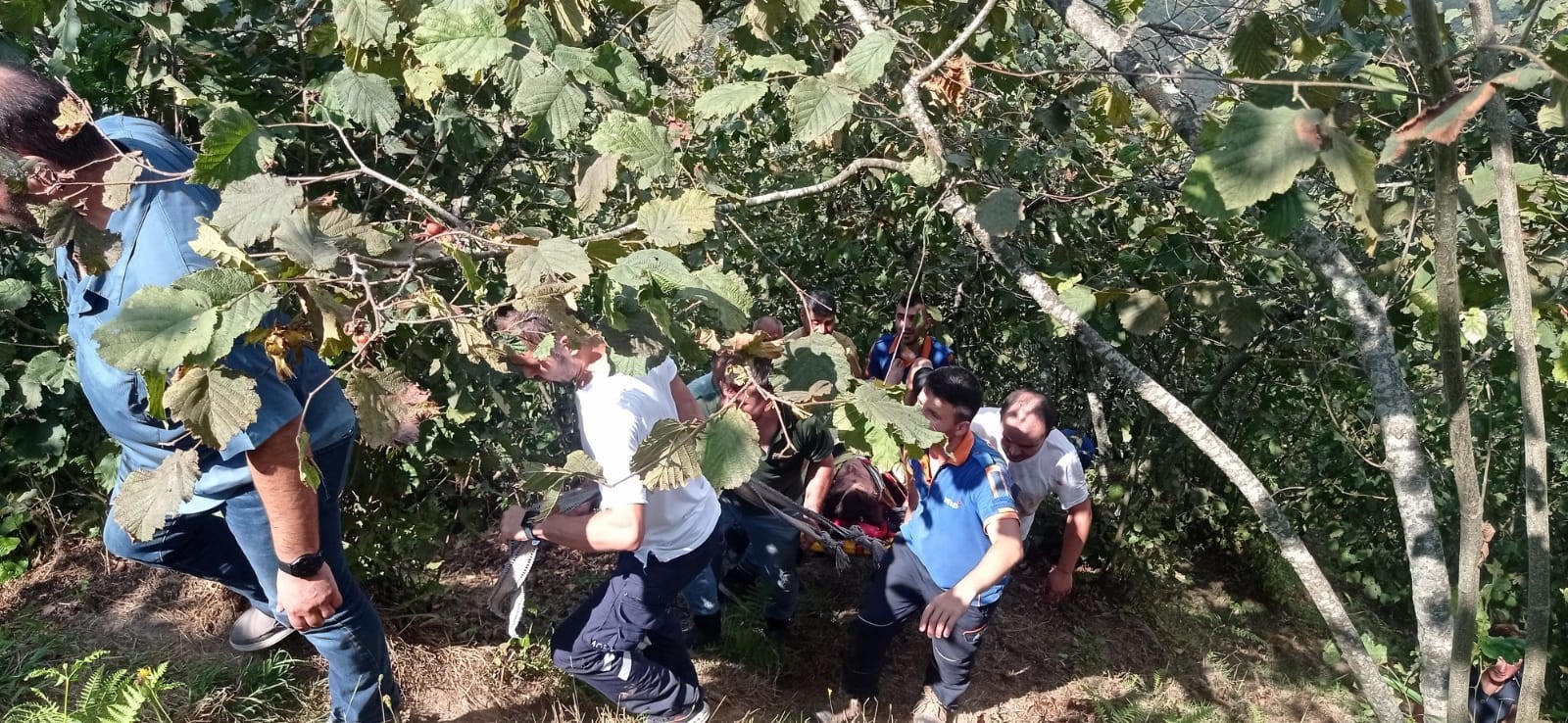 Giresun’da fındık toplarken dereye yuvarlanan kadın hayatını kaybetti