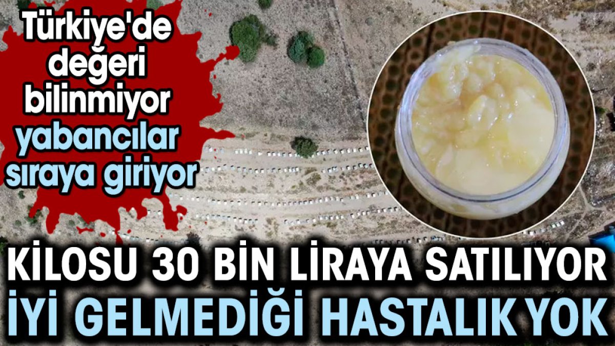 Kilosu 30 bin liraya satılıyor: İyi gelmediği hastalık yok. Türkiye'de değeri bilinmiyor yabancılar sıraya giriyor