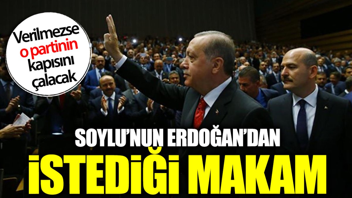 Soylu’nun Erdoğan’dan istediği makam! Verilmezse o partinin kapısını çalacak