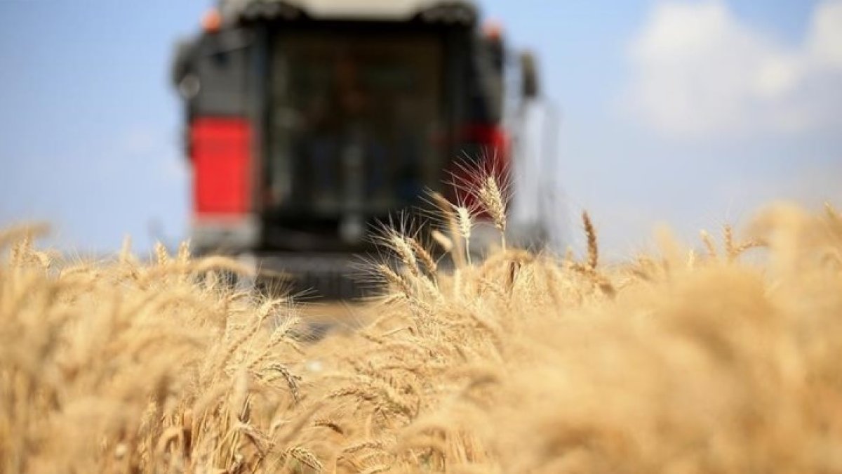 Küresel gıda fiyatları değişmedi