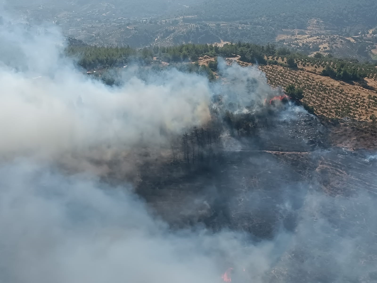 Hatay'daki yangın 15 saat sonra söndürüldü