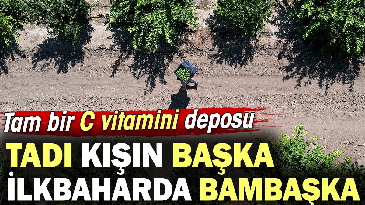 Bu meyvenin tadı kışın başka ilkbaharda bambaşka! Tam bir C vitamini deposu