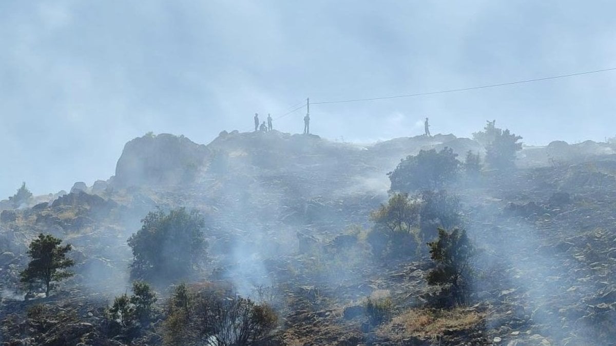 Malatya'da 3 ayrı noktada yangını