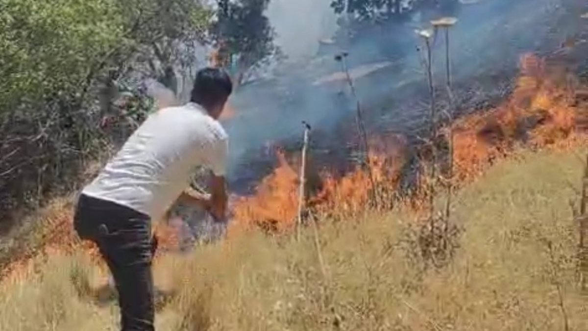 Diyarbakır’da ormanlık alanda yangın