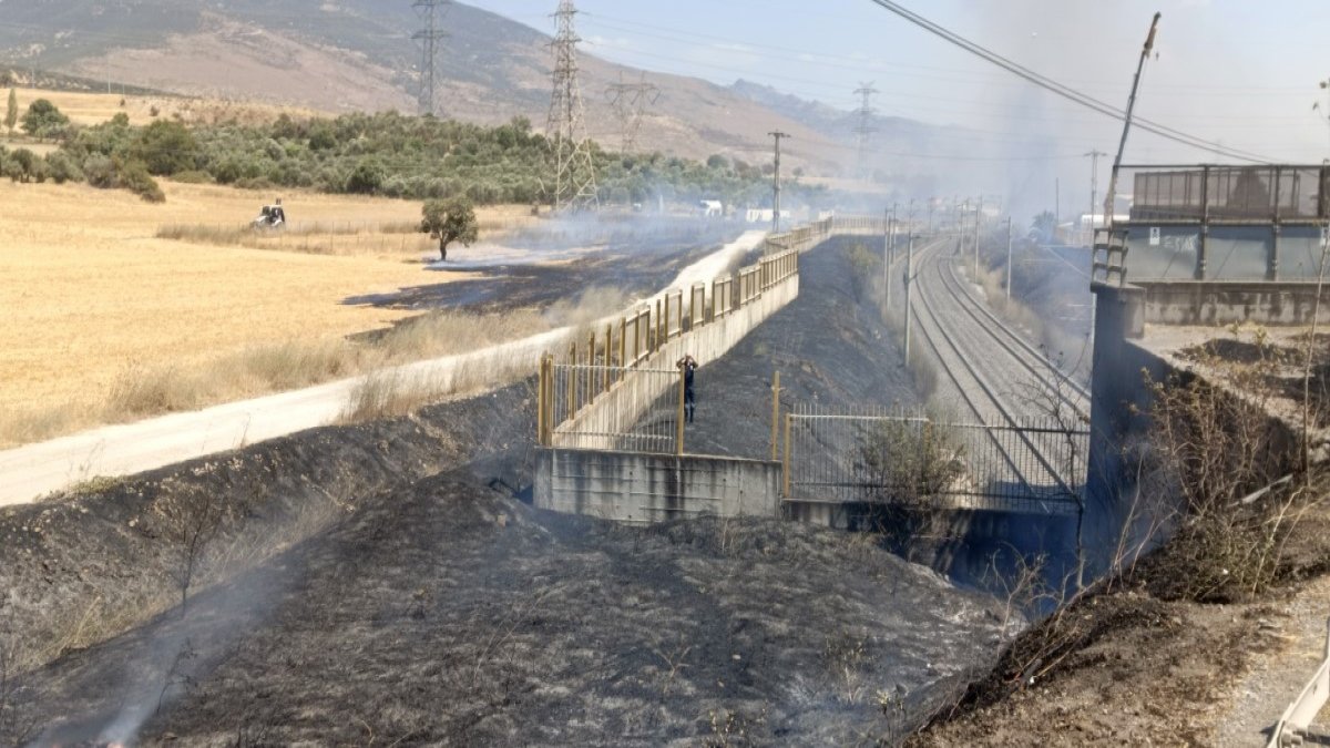 Aliağa'da atılan sigara izmariti yangına yol açtı