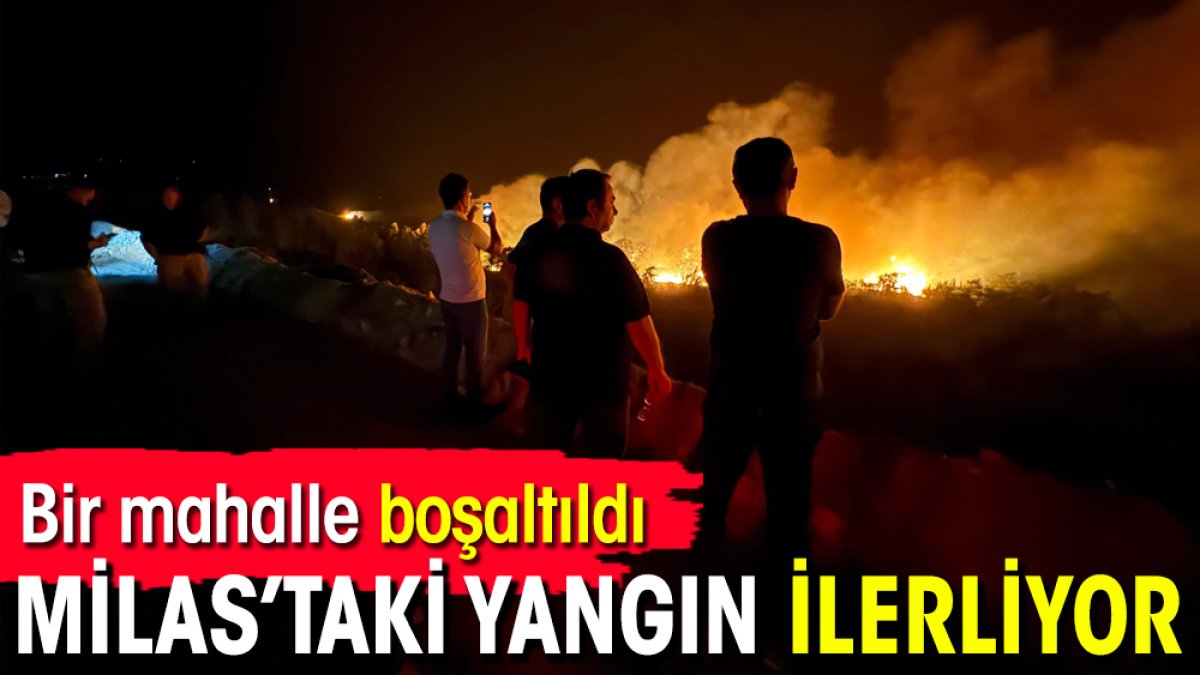 Milas'taki yangın ilerliyor: Bir mahalle boşaltıldı