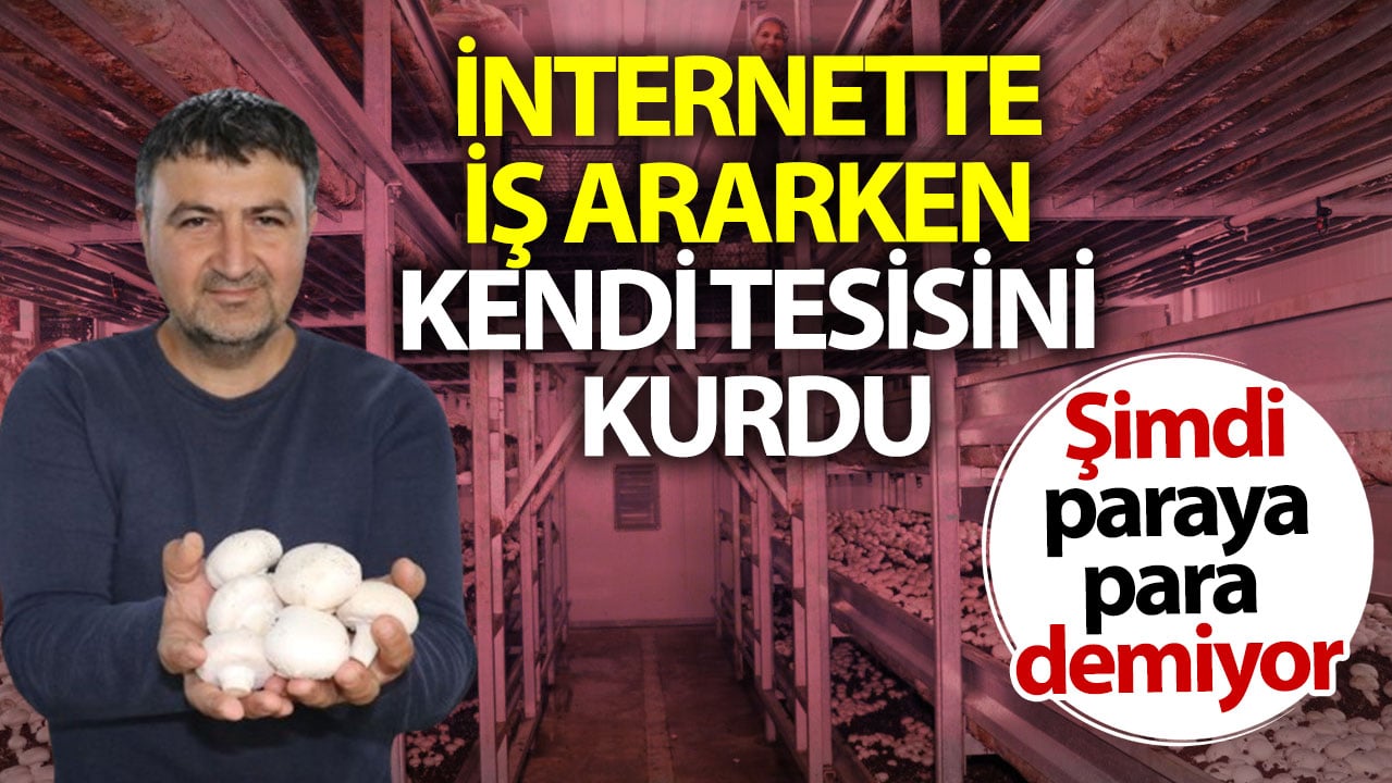 İnternette iş ararken kendi tesisini kurdu: Şimdi paraya para demiyor