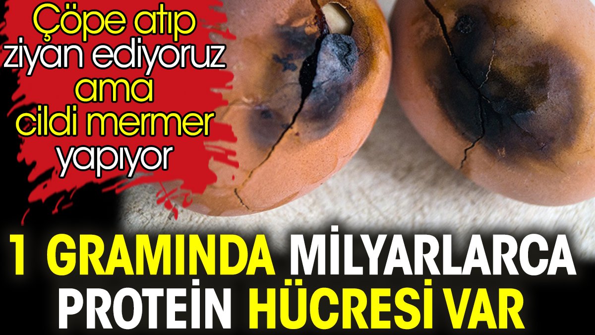 1 gramında milyarlarca protein hücresi var. Çöpe atıp ziyan ediyoruz ama cildi mermer yapıyor