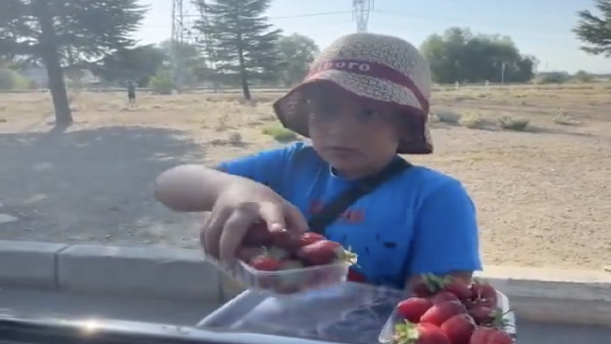 50 liralık çileğe 50 euro verdi. 8 yaşındaki Mehmet'i mutlu etti