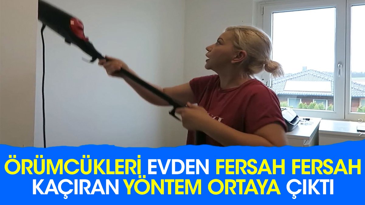 Örümcükleri evden fersah fersah kaçıran yöntem ortaya çıktı