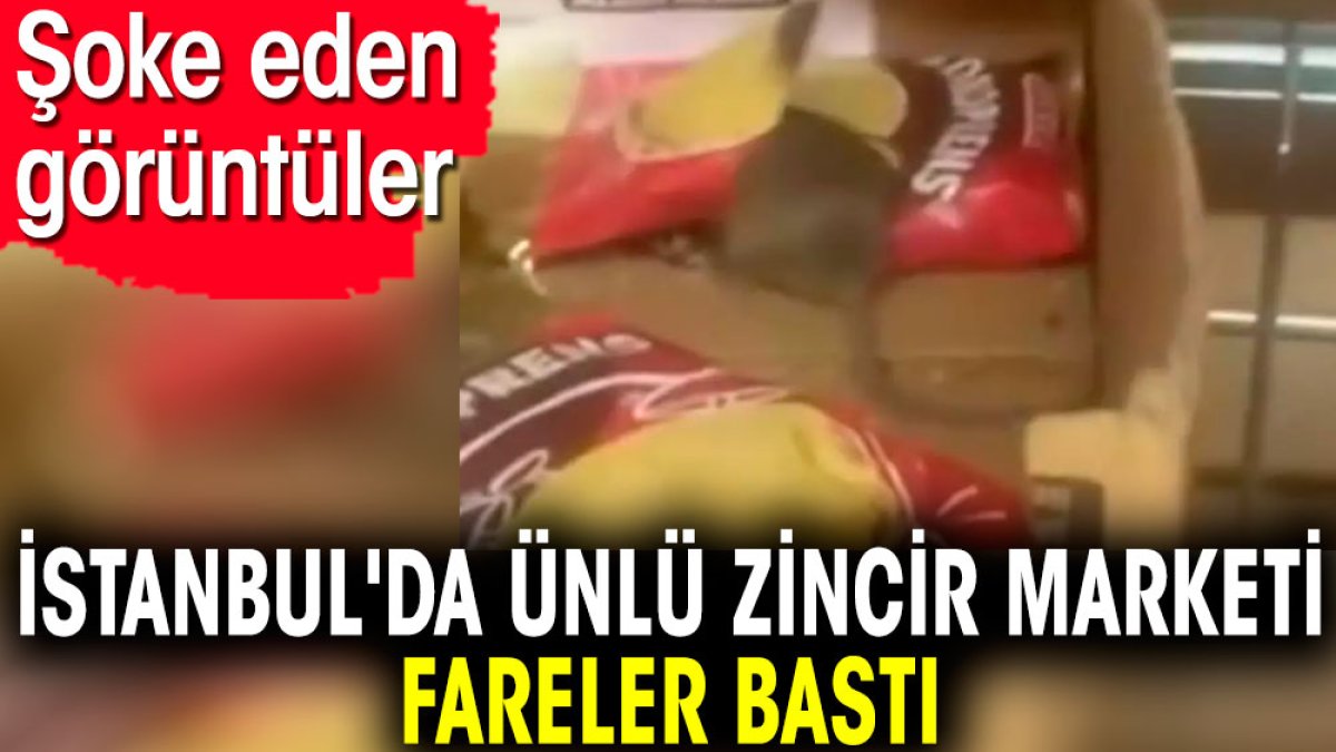 İstanbul'da ünlü zincir marketi fareler bastı. Şoke eden görüntüler