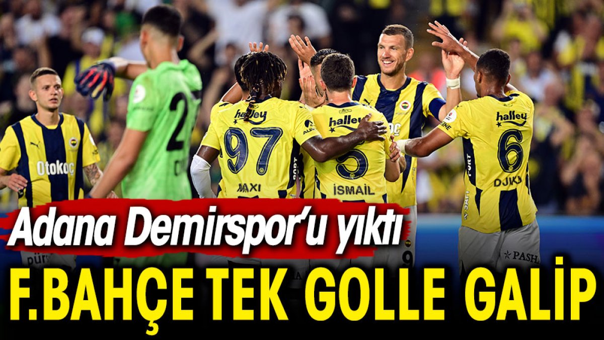 Fenerbahçe tek golle galip