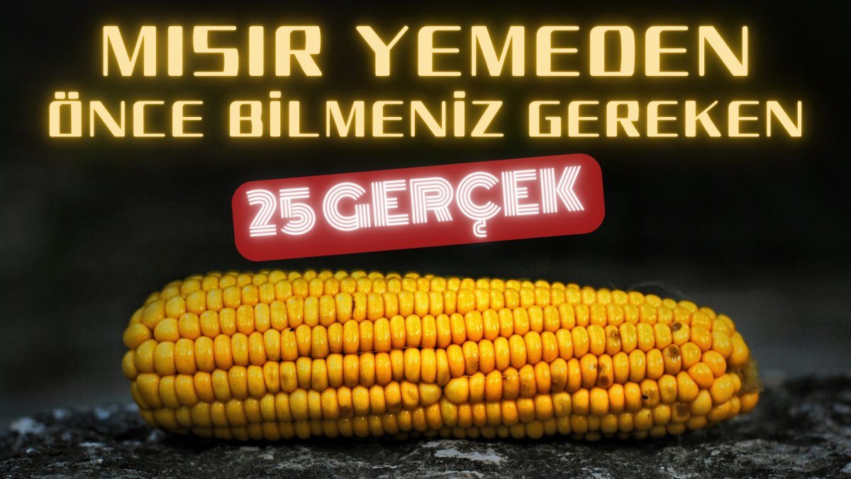 Mısır yemeden önce bilmeniz gereken 25 gerçek