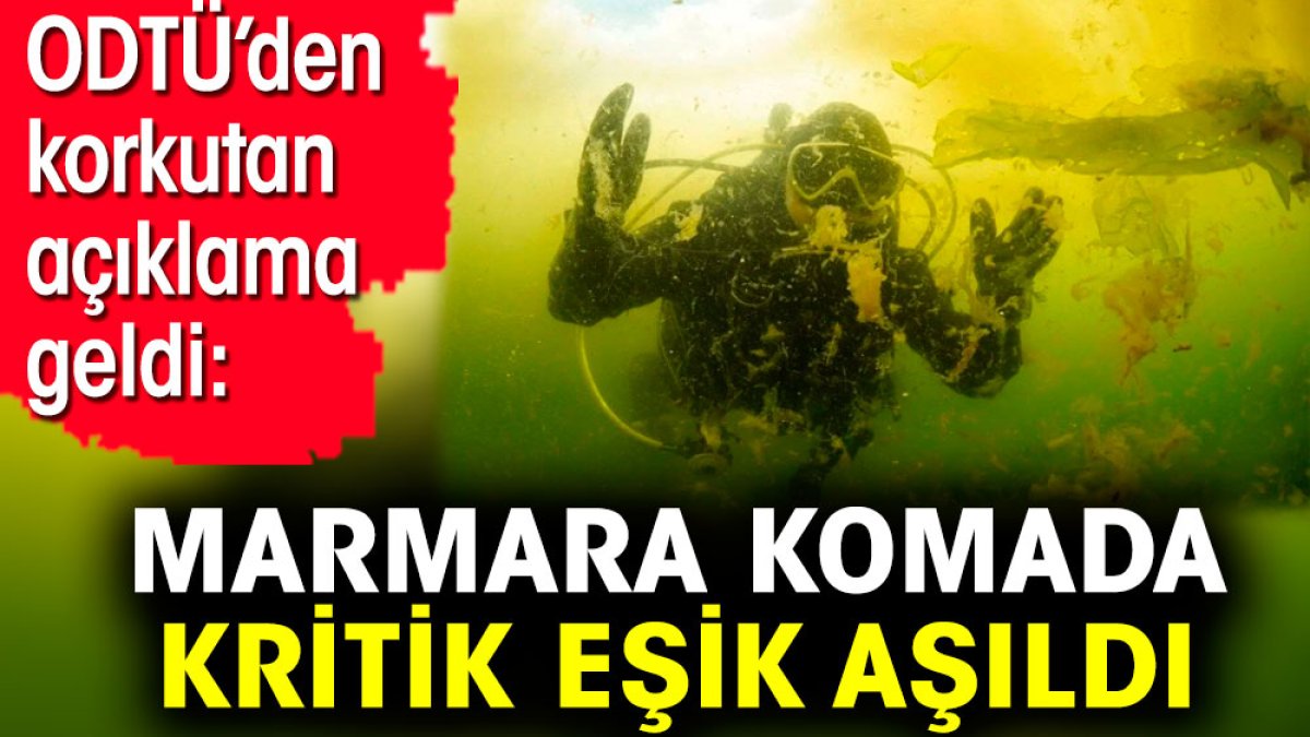 Marmara komada kritik eşik aşıldı. ODTÜ’den korkutan açıklama geldi