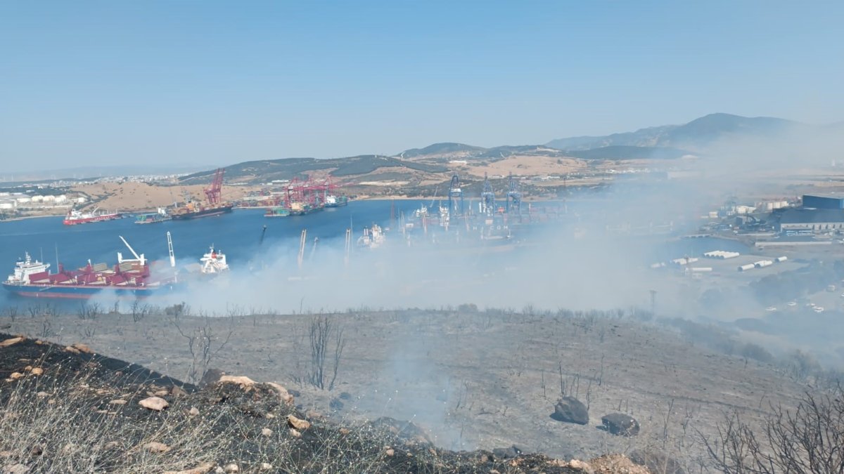 Aliağa’daki orman yangınında son gelişme